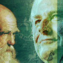 داروين نظرية التطور الفلسفة لماذا خلق الإنسان؟ النظرية الداروينية