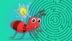 مخ النملة - دماغ النمل - النحل