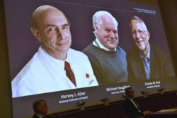 نوبل للطب 2020: هارفي جيه ألتر - مايكل هوتون - تشارلز إم رايس