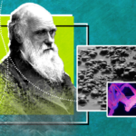 كيف بدأ الخلق - أصل الحياة - داروين