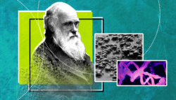كيف بدأ الخلق - أصل الحياة - داروين