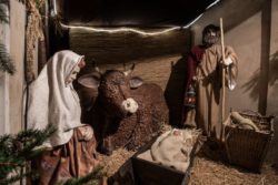 مشهد من مغارة الميلاد يُظهر ولادة يسوع في مذود