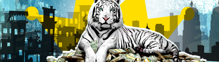 The White Tiger - ريفيو فيلم النمر الأبيض - فيلم النمر الأبيض - السينما الهندية - أفلام نتفلكيس