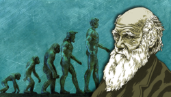 تشارلز داروين - نظرية التطور - التصميم الذكي - عصافير داروين - نظرية الخلق