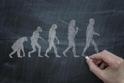 مسار التطور البشري