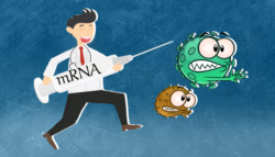 لقاحات تقنية mRNA