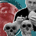 تاريخ التطور البشري الدراجون مان