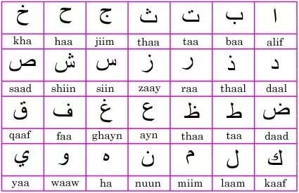 تعلم اللغة العربية 