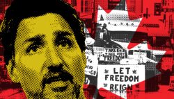 قوافل-الحرية