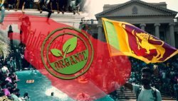 سياسة تجويع الشعوب: كيف تسببت السياسات الخضراء في إفلاس سريلانكا مؤخرًا؟ | محمد فريد
