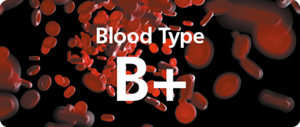 نبذة عن فصيلة الدم b+