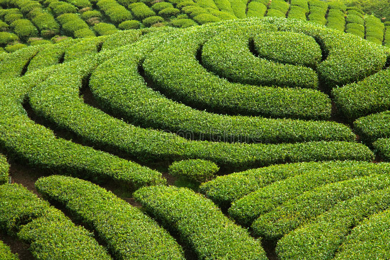 حدائق غوا السياحة في غوا