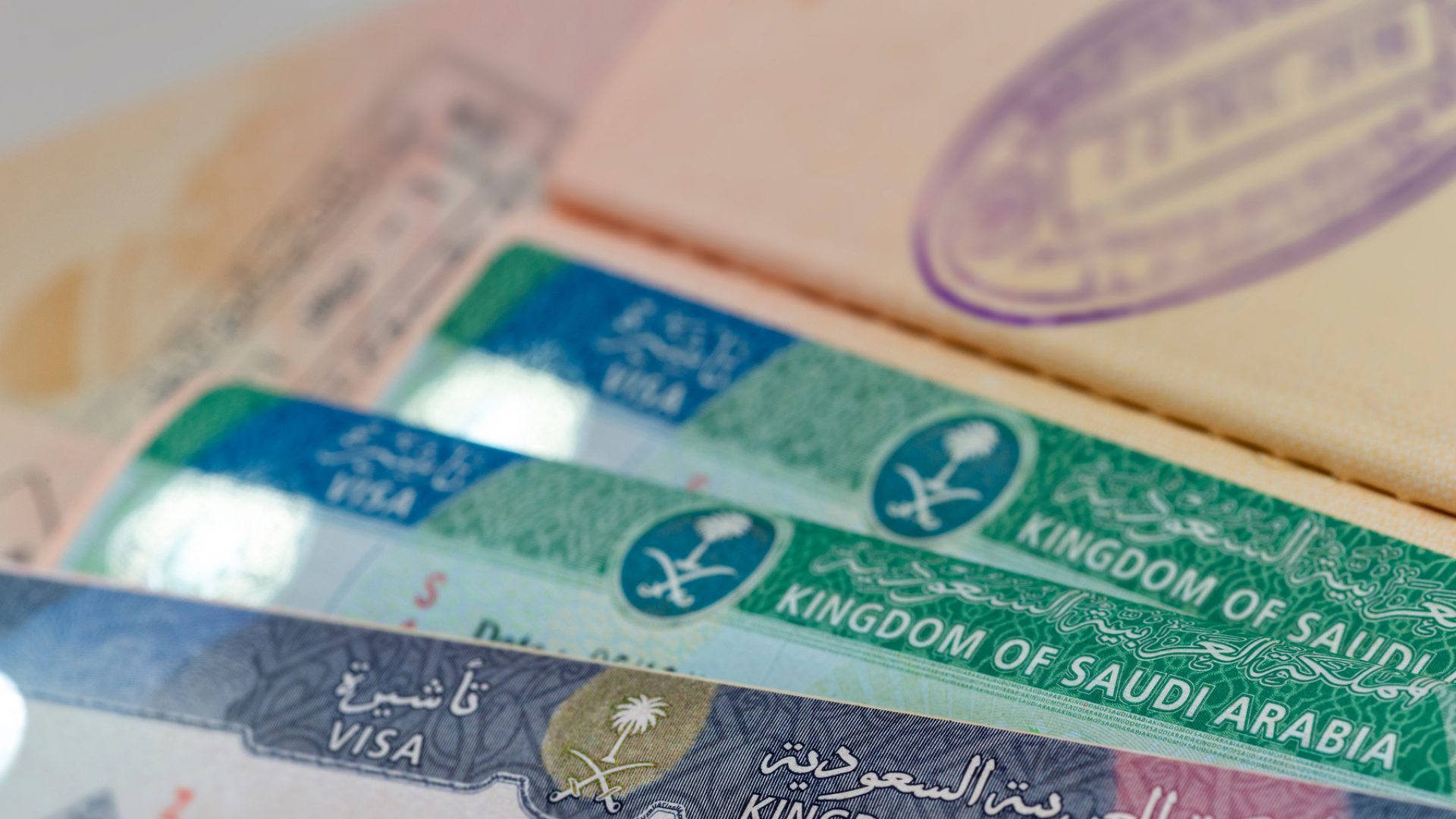 تحديث التأهيل الشامل برقم الهوية في السعودية 