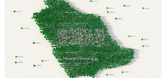 التسجيل في التعداد السكاني السعودية