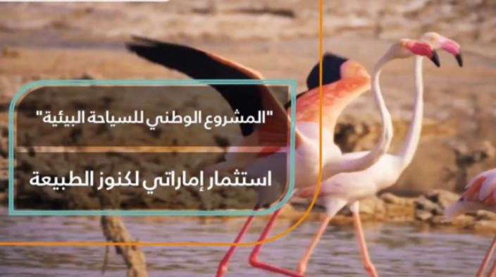 المشروع الوطني للسياحة البيئية في الإمارات