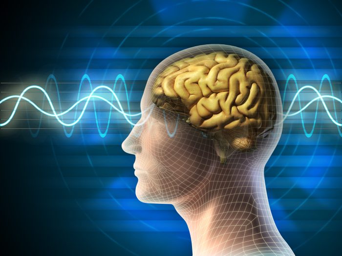 البؤر الكهربائية في المخ