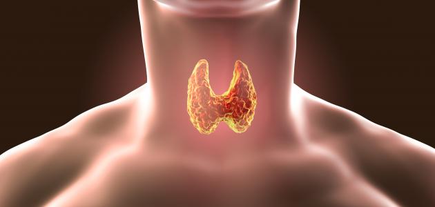 سبب ارتفاع الأجسام المضادة للغدة الدرقية