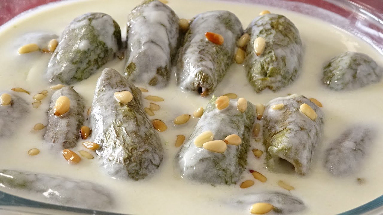 طريقة الكوسا باللبن شيخ المحشي