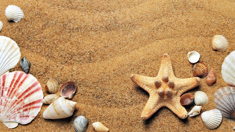 موضوع تعبير قصير عن العطلة الصيفية بالعربية