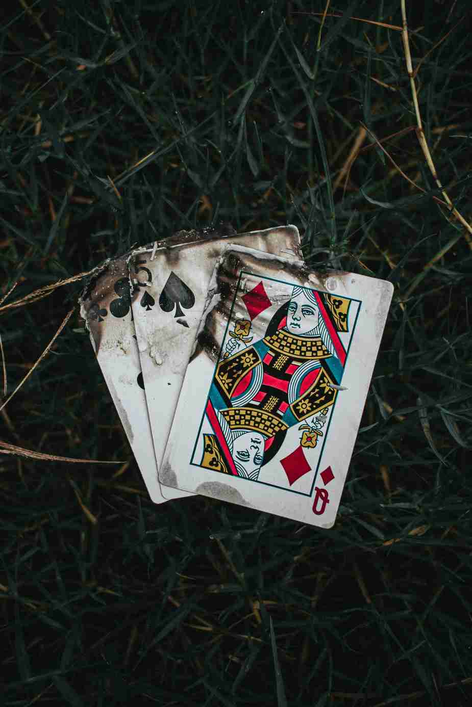 Registrati su Vegasino e Ricevi un Bonus sul Primo Deposito!